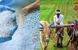 ದೇಶೀಯ ರಸಗೊಬ್ಬರ ಉತ್ಪಾದನೆಯಲ್ಲಿ ಭಾರತ ಹೊಸ ಮೈಲುಗಲ್ಲು – 73% ದೇಶದಲ್ಲೇ ಉತ್ಪಾದನೆ..!
