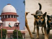 ಬೀದಿನಾಯಿಗಳ ಸಮಸ್ಯೆ ನಿಯಂತ್ರಿಸುವಲ್ಲಿ, ರಾಜ್ಯ ಸರ್ಕಾರ ಸಂಪೂರ್ಣ ವಿಫಲ – ಸುಪ್ರೀಂ ಆಕ್ರೋಶ..!