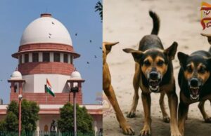 ಬೀದಿನಾಯಿಗಳ ಸಮಸ್ಯೆ ನಿಯಂತ್ರಿಸುವಲ್ಲಿ, ರಾಜ್ಯ ಸರ್ಕಾರ ಸಂಪೂರ್ಣ ವಿಫಲ – ಸುಪ್ರೀಂ ಆಕ್ರೋಶ..!