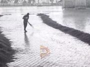 ವರ್ಷದ ಮೊದಲ ಮಳೆಗೆ ಕೊಚ್ಚಿ ಹೋದ ಕಾಫಿ ಬೀಜ – ರೈತರ ಕಣ್ಣೀರು..!