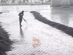 ವರ್ಷದ ಮೊದಲ ಮಳೆಗೆ ಕೊಚ್ಚಿ ಹೋದ ಕಾಫಿ ಬೀಜ – ರೈತರ ಕಣ್ಣೀರು..!