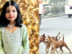 ಬೀದಿನಾಯಿ ಕಚ್ಚಿ ಗಂಭೀರ ಗಾಯಗೊಂಡಿದ್ದ ಬಾಲಕಿ ಸಾವು..!