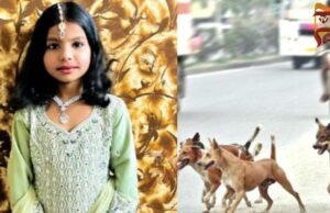 ಬೀದಿನಾಯಿ ಕಚ್ಚಿ ಗಂಭೀರ ಗಾಯಗೊಂಡಿದ್ದ ಬಾಲಕಿ ಸಾವು..!