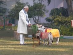 ಸಂಕ್ರಾಂತಿಯಂದು ವಿಶ್ವದ ಪುಂಗನೂರು ಹಸುಗಳಿಗೆ ಹುಲ್ಲು – ಪ್ರಧಾನಿ ಮೋದಿ