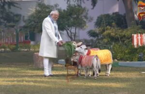 ಸಂಕ್ರಾಂತಿಯಂದು ವಿಶ್ವದ ಪುಂಗನೂರು ಹಸುಗಳಿಗೆ ಹುಲ್ಲು – ಪ್ರಧಾನಿ ಮೋದಿ