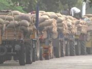 ಸರ್ಕಾರದ ವಿರುದ್ಧ ಸಿಡಿದೆದ್ದ, ಮೆಕ್ಕೆಜೋಳ ರೈತರು