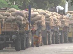 ಸರ್ಕಾರದ ವಿರುದ್ಧ ಸಿಡಿದೆದ್ದ, ಮೆಕ್ಕೆಜೋಳ ರೈತರು