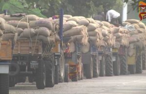 ಸರ್ಕಾರದ ವಿರುದ್ಧ ಸಿಡಿದೆದ್ದ, ಮೆಕ್ಕೆಜೋಳ ರೈತರು