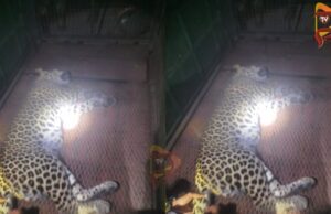 ಮಾದಪ್ಪನ ಯಾತ್ರಿಕನನ್ನು ಕೊಂದಿದ್ದ ಚಿರತೆ ಸೆರೆ – ಮೃತರ ಕುಟುಂಬಕ್ಕೆ ಪರಿಹಾರ ಘೋಷಣೆ..!