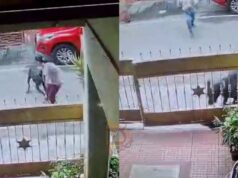 ವಾಕಿಂಗ್ ಮಾಡೋವಾಗ ಏಕಾಏಕಿ ಮಹಿಳೆ ಮೇಲೆ ನಾಯಿ ದಾಳಿ – 50ಕ್ಕೂ ಹೆಚ್ಚು ಹೊಲಿಗೆ..!