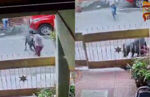 ವಾಕಿಂಗ್ ಮಾಡೋವಾಗ ಏಕಾಏಕಿ ಮಹಿಳೆ ಮೇಲೆ ನಾಯಿ ದಾಳಿ – 50ಕ್ಕೂ ಹೆಚ್ಚು ಹೊಲಿಗೆ..!