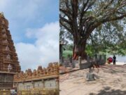 ನಾಳೆ ನಿಮಿಷಾಂಬ ದೇವಸ್ಥಾನದಲ್ಲಿ ಮಾಘ ಶುದ್ದ ಹುಣ್ಣಿಮೆ ಮಹೋತ್ಸವ..!