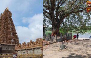 ನಾಳೆ ನಿಮಿಷಾಂಬ ದೇವಸ್ಥಾನದಲ್ಲಿ ಮಾಘ ಶುದ್ದ ಹುಣ್ಣಿಮೆ ಮಹೋತ್ಸವ..!