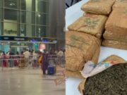 ಏರ್ಪೋರ್ಟ್ನಲ್ಲಿ ಕೋಟಿ ಕೋಟಿ ಮೌಲ್ಯದ ಗಾಂಜಾ ವಶ