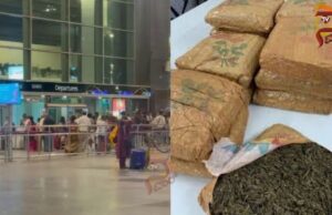 ಏರ್ಪೋರ್ಟ್ನಲ್ಲಿ ಕೋಟಿ ಕೋಟಿ ಮೌಲ್ಯದ ಗಾಂಜಾ ವಶ