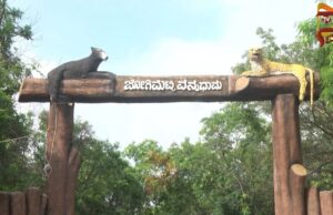 ನೀರಿಲ್ಲದೇ ಪ್ರಾಣಿಗಳ ಮೂಕರೋಧನೆ; ಜೋಗಿಮಟ್ಟಿ ವನ್ಯಧಾಮದಲ್ಲಿ ನೀರಿಗೆ ಹಾಹಾಕಾರ..!