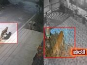 ಬೆಂಗಳೂರಿನಲ್ಲಿ ತಪ್ಪದ ಚಿರತೆ ಭೀತಿ – ಮನೆಯಿಂದ ಹೊರ ಬರಲು ಭಯ ಪಡ್ತಿರೋ ಜನರು