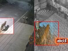 ಬೆಂಗಳೂರಿನಲ್ಲಿ ತಪ್ಪದ ಚಿರತೆ ಭೀತಿ – ಮನೆಯಿಂದ ಹೊರ ಬರಲು ಭಯ ಪಡ್ತಿರೋ ಜನರು