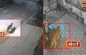 ಬೆಂಗಳೂರಿನಲ್ಲಿ ತಪ್ಪದ ಚಿರತೆ ಭೀತಿ – ಮನೆಯಿಂದ ಹೊರ ಬರಲು ಭಯ ಪಡ್ತಿರೋ ಜನರು