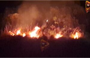 ಚಾರ್ಮಾಡಿ ಘಾಟಿ ಅರಣ್ಯ ಪ್ರದೇಶದಲ್ಲಿ ಕಾಳ್ಗಿಚ್ಚು – ಹುಲ್ಲುಗಾವಲು ಬೆಂಕಿಗಾಹುತಿ