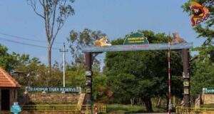 ನಾಳೆಯಿಂದ ನಾಗರಹೊಳೆ, ಬಂಡೀಪುರದಲ್ಲಿ ಸಫಾರಿ ಪುನರಾರಂಭ..!