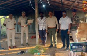 ಉರುಳಿಗೆ ಸಿಲುಕಿ ಹುಲಿ ಸಾವು ಪ್ರಕರಣ – ಆರೋಪಿ ಅರೆಸ್ಟ್..!