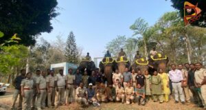 ಕಾಡಾನೆ ಸೆರೆಗೆ ಅರಣ್ಯ ಇಲಾಖೆ ಸಿದ್ಧತೆ – ಸಾಕಾನೆಗಳಿಂದ ಕಾರ್ಯಾಚರಣೆ..!