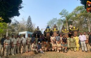 ಕಾಡಾನೆ ಸೆರೆಗೆ ಅರಣ್ಯ ಇಲಾಖೆ ಸಿದ್ಧತೆ – ಸಾಕಾನೆಗಳಿಂದ ಕಾರ್ಯಾಚರಣೆ..!