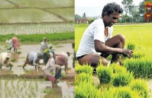 ರೈತರಿಗೆ 12.40 ಕೋಟಿ ರೂ. ಬೆಳೆ ವಿಮಾ ಪರಿಹಾರ ಬಿಡುಗಡೆ ಮಾಡಿದ ಕೇಂದ್ರ