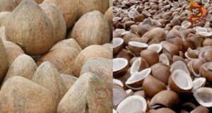 ಕೊಬ್ಬರಿಗೆ ಬಂಪರ್ ಬೆಲೆ – ರೈತರಿಗೆ ಸಿಗದ ಲಾಭ, ಅನ್ನದಾತ ನಿರಾಸೆ..!