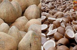 ಕೊಬ್ಬರಿಗೆ ಬಂಪರ್ ಬೆಲೆ – ರೈತರಿಗೆ ಸಿಗದ ಲಾಭ, ಅನ್ನದಾತ ನಿರಾಸೆ..!