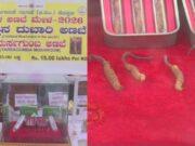 ಗಮನ ಸೆಳೆಯುತ್ತಿದೆ ಜಗತ್ತಿನ ದುಬಾರಿ ಅಣಬೆ – ಪ್ರತಿ ಕೆಜಿಗೆ 15 ಲಕ್ಷ ರೂ..,