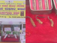 ಗಮನ ಸೆಳೆಯುತ್ತಿದೆ ಜಗತ್ತಿನ ದುಬಾರಿ ಅಣಬೆ – ಪ್ರತಿ ಕೆಜಿಗೆ 15 ಲಕ್ಷ ರೂ..,