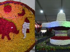 ಹಂಪಿ ಉತ್ಸವ, ಫಲಪುಷ್ಪ ಪ್ರದರ್ಶನ – ಹೂವಲ್ಲೇ ವಿಜಯನಗರ ಸಾಮ್ರಾಜ್ಯದಲ್ಲಿ ಗತವೈಭವ ಸೃಷ್ಟಿ..!