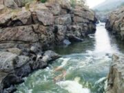 ಮೇಕೆದಾಟು ಯೋಜನೆ – ವನ್ಯಜೀವಿ ಅನುಮೋದನೆಗಾಗಿ ರಾಜ್ಯ ಸರ್ಕಾರದಿಂದ ಪ್ರತ್ಯೇಕ ಪ್ರಸ್ತಾವ..!