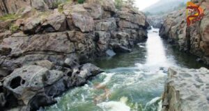 ಮೇಕೆದಾಟು ಯೋಜನೆ – ವನ್ಯಜೀವಿ ಅನುಮೋದನೆಗಾಗಿ ರಾಜ್ಯ ಸರ್ಕಾರದಿಂದ ಪ್ರತ್ಯೇಕ ಪ್ರಸ್ತಾವ..!