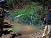 ಕೇರಳಿಗ ಜಮೀನಿಗೆ ಅಳವಡಿಸಿದ್ದ ಅಕ್ರಮ ವಿದ್ಯುತ್ ತಂತಿ ಸ್ಪರ್ಶಿಸಿ ಹುಲಿ ಸಾವು..!