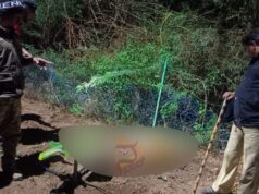 ಕೇರಳಿಗ ಜಮೀನಿಗೆ ಅಳವಡಿಸಿದ್ದ ಅಕ್ರಮ ವಿದ್ಯುತ್ ತಂತಿ ಸ್ಪರ್ಶಿಸಿ ಹುಲಿ ಸಾವು..!