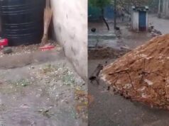 ಬಿಸಿಲನಾಡು ರಾಯಚೂರಿನಲ್ಲಿ ಆಲಿಕಲ್ಲು ಮಳೆ