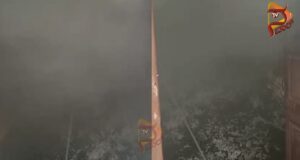 ಏಕಾಏಕಿ ಹೊತ್ತಿಕೊಂಡ ಬೆಂಕಿ – ಹತ್ತಿ ಚೀಲಗಳು ಸುಟ್ಟು ಕರಕಲು