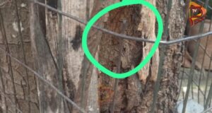 ಆಟವಾಡುತ್ತಿದ್ದಾಗ, ತಗುಲಿದ ಕಬ್ಬಿಣದ ತಂತಿ – ಮಗುವಿನ ಮರ್ಮಾಂಗಕ್ಕೆ ಹೊಲಿಗೆ..