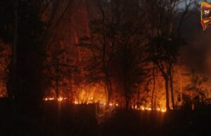 ಮುತ್ತೋಡಿ ಅರಣ್ಯದಲ್ಲಿ ಭಾರೀ ಕಾಡ್ಗಿಚ್ಚು – ಅಪರೂಪದ ಸಸ್ಯರಾಶಿ ಬೆಂಕಿಗೆ ಆಹುತಿ..!