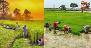 Karnataka Budget 2026 – ಕೃಷಿ ಕ್ಷೇತ್ರಕ್ಕೆ ಸಿಕ್ಕಿದ್ದೇನು..?