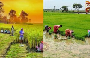 Karnataka Budget 2026 – ಕೃಷಿ ಕ್ಷೇತ್ರಕ್ಕೆ ಸಿಕ್ಕಿದ್ದೇನು..?