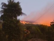 ಹೊತ್ತಿ ಉರಿಯುತ್ತಿದೆ ಶೋಲಾರಣ್ಯ – 25ಕ್ಕೂ ಹೆಚ್ಚು ಕಡೆಗಳಲ್ಲಿ ಕಾಣಿಸಿಕೊಂಡ ಬೆಂಕಿ