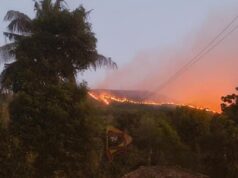 ಹೊತ್ತಿ ಉರಿಯುತ್ತಿದೆ ಶೋಲಾರಣ್ಯ – 25ಕ್ಕೂ ಹೆಚ್ಚು ಕಡೆಗಳಲ್ಲಿ ಕಾಣಿಸಿಕೊಂಡ ಬೆಂಕಿ