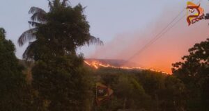 ಹೊತ್ತಿ ಉರಿಯುತ್ತಿದೆ ಶೋಲಾರಣ್ಯ – 25ಕ್ಕೂ ಹೆಚ್ಚು ಕಡೆಗಳಲ್ಲಿ ಕಾಣಿಸಿಕೊಂಡ ಬೆಂಕಿ