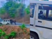 ಅರಣ್ಯ ಇಲಾಖೆ ಜೀಪನ್ನೇ ಅಟ್ಟಾಡಿಸಿ ಅಟ್ಯಾಕ್ ಮಾಡಿದ ಕಾಡಾನೆ..!