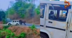 ಅರಣ್ಯ ಇಲಾಖೆ ಜೀಪನ್ನೇ ಅಟ್ಟಾಡಿಸಿ ಅಟ್ಯಾಕ್ ಮಾಡಿದ ಕಾಡಾನೆ..!