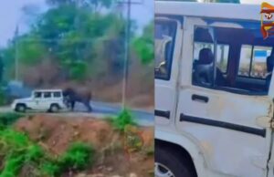 ಅರಣ್ಯ ಇಲಾಖೆ ಜೀಪನ್ನೇ ಅಟ್ಟಾಡಿಸಿ ಅಟ್ಯಾಕ್ ಮಾಡಿದ ಕಾಡಾನೆ..!